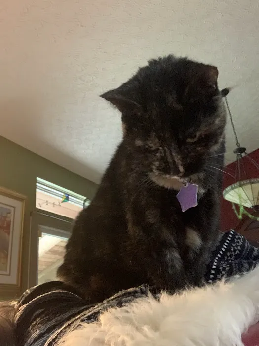 Animal Care Hospital of Reynoldsburg 12