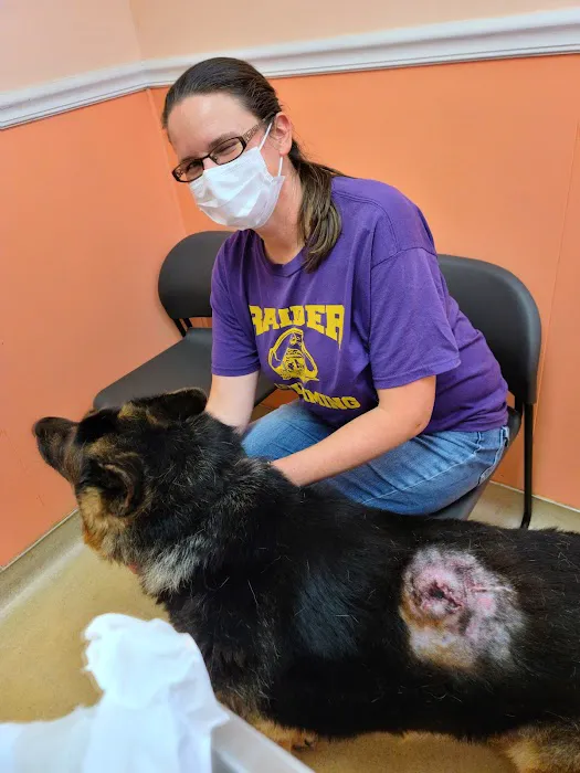 Animal Care Hospital of Reynoldsburg 12