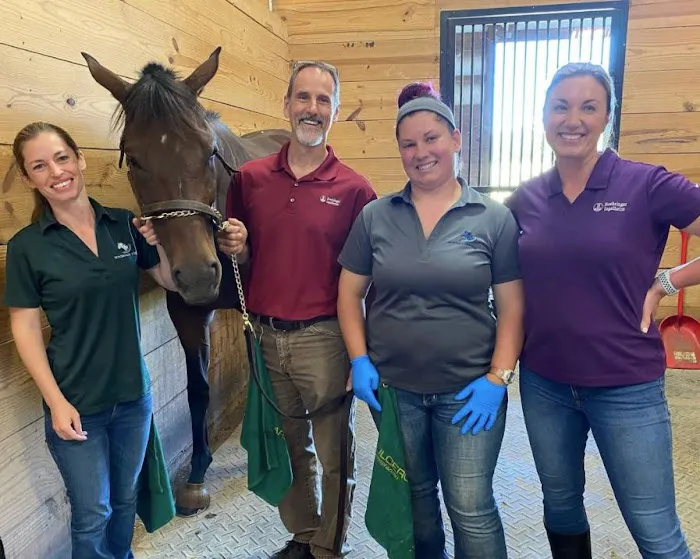 Windmiller Equine Veterinary Services 12