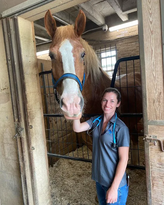 Windmiller Equine Veterinary Services 12