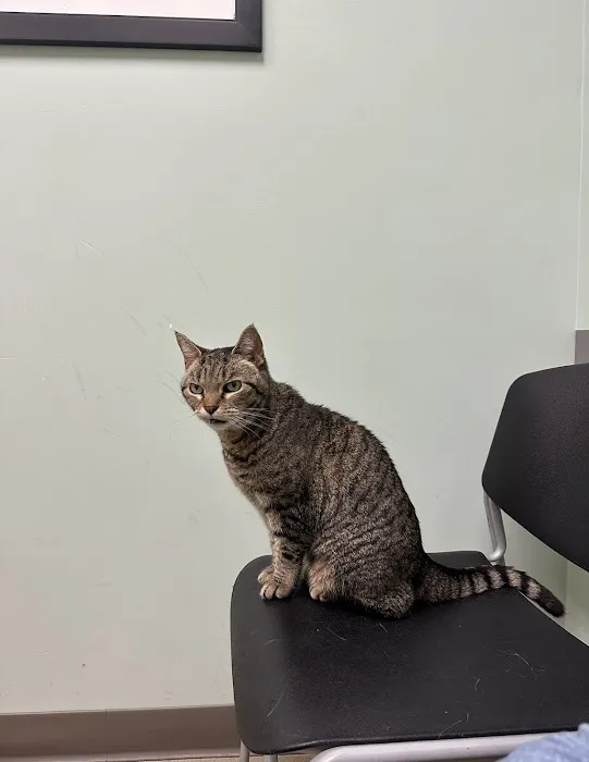 Compassionate Care Animal Hospital 12