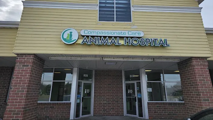 Compassionate Care Animal Hospital 12