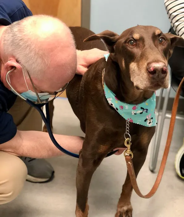 Compassionate Care Animal Hospital 12