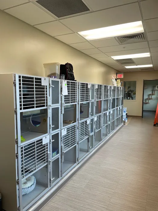 Winchester Veterinary Clinic 12