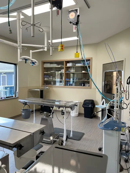 Winchester Veterinary Clinic 12