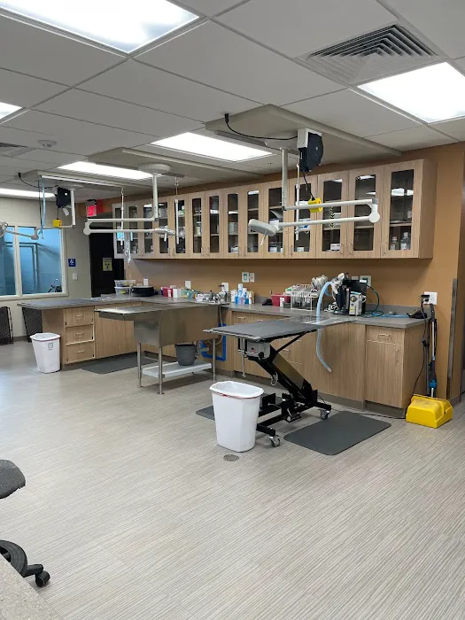 Winchester Veterinary Clinic 12