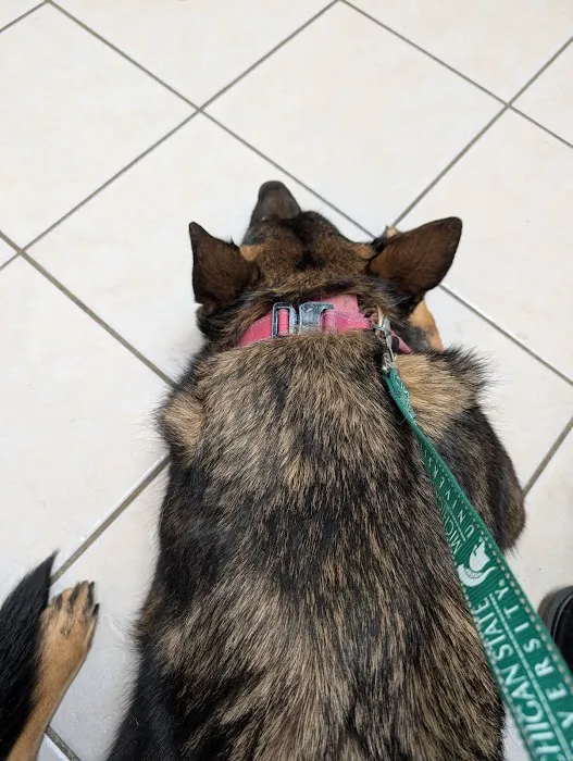 Canal Animal Clinic 12