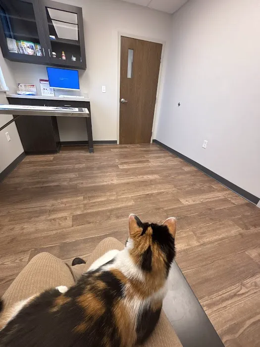 Healthy Pets of New Albany 12