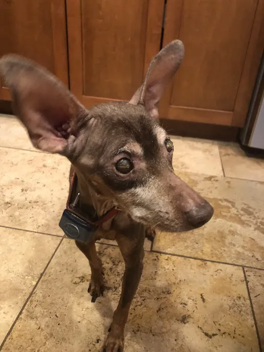 Healthy Pets of New Albany 12