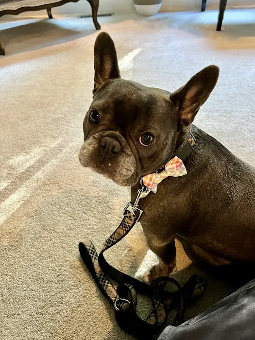 Healthy Pets of New Albany 12