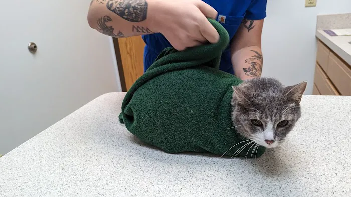 Healthy Pets of New Albany 12