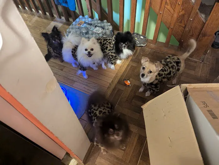 Healthy Pets of New Albany 12