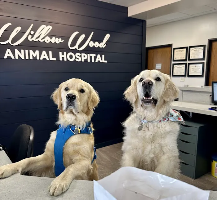 Willow Wood Animal Hospital 12