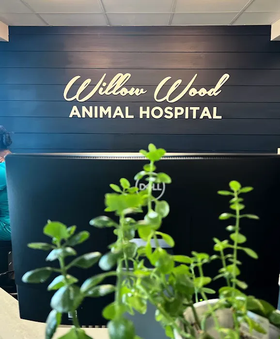 Willow Wood Animal Hospital 12