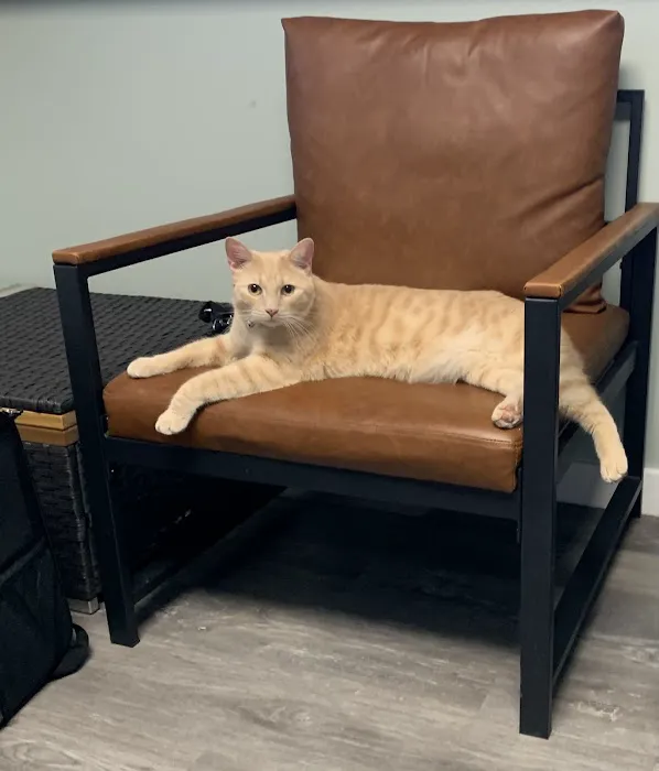 Willow Wood Animal Hospital 12