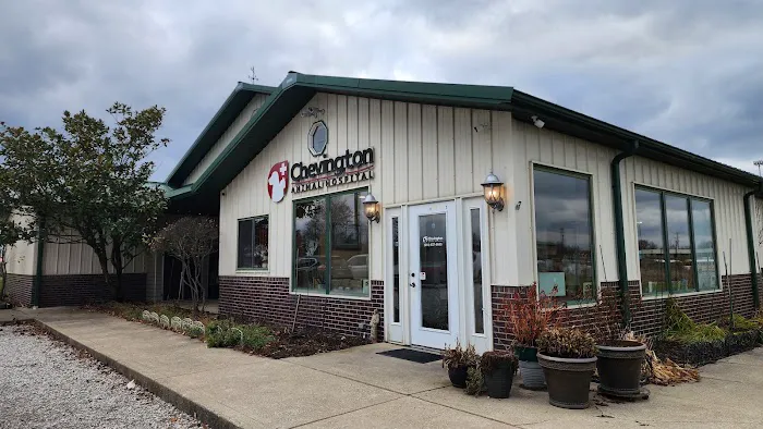Chevington Animal Hospital 12