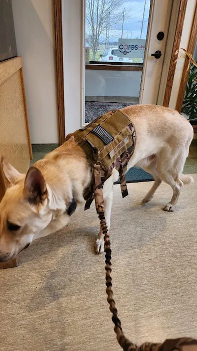 Chevington Animal Hospital 12