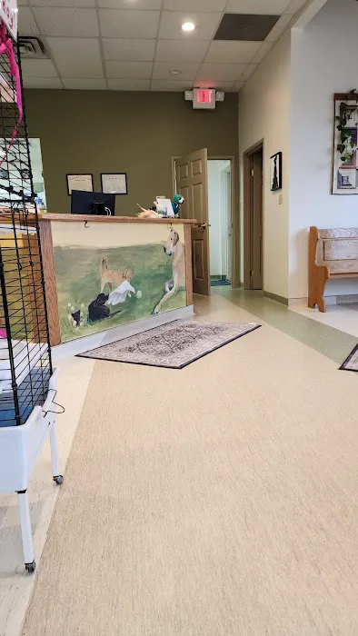 Chevington Animal Hospital 12
