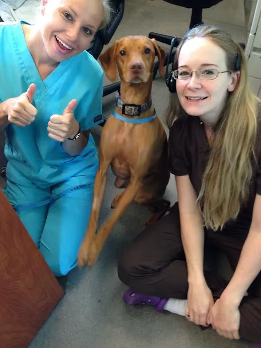 P.A.W.S. Pet Hospital 6