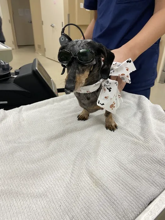Rivertown Animal Hospital 8
