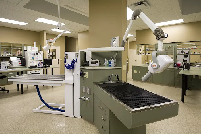 Rivertown Animal Hospital 6