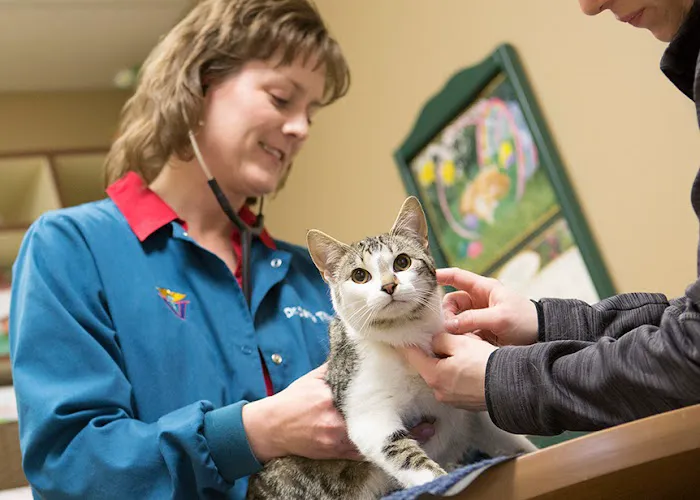 Rivertown Animal Hospital 4