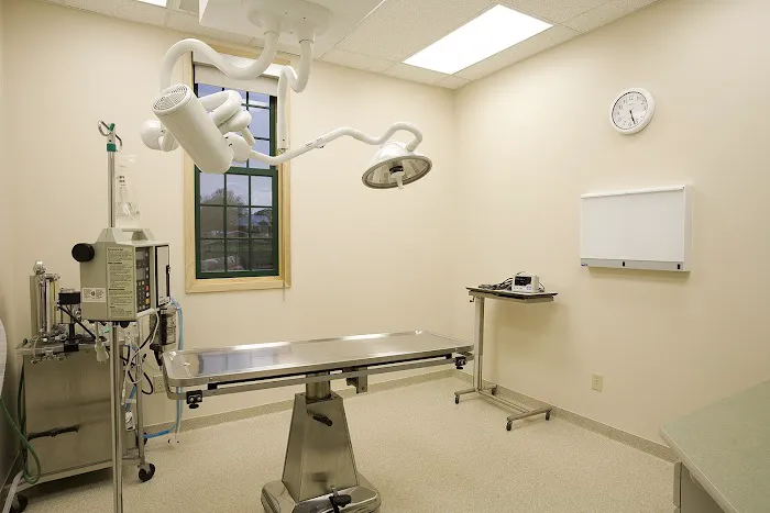 Rivertown Animal Hospital 5