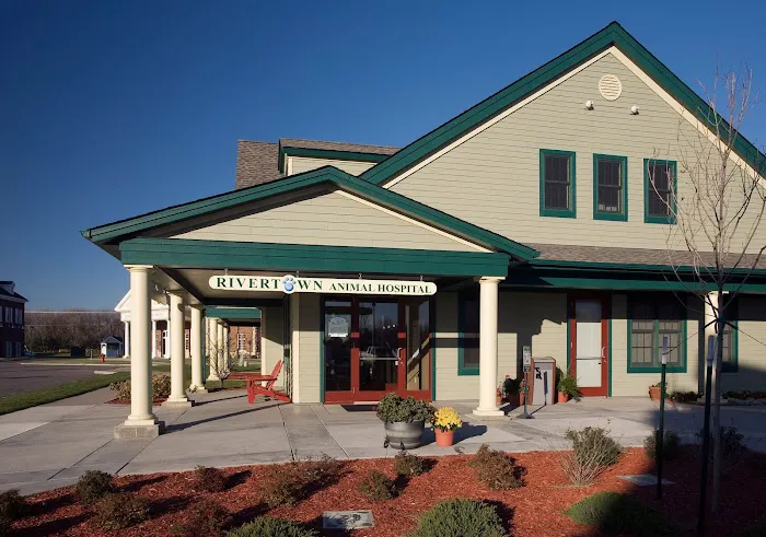 Rivertown Animal Hospital 3
