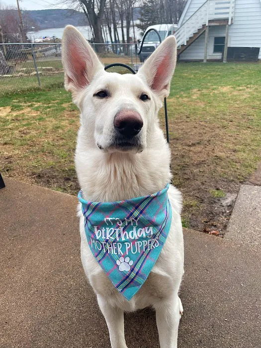 Stillwater Veterinary Clinic 4