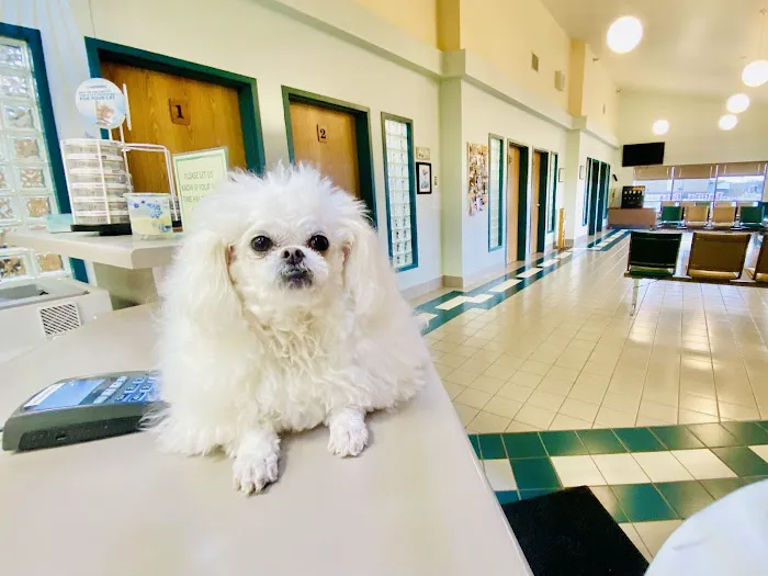 Stillwater Veterinary Clinic 5