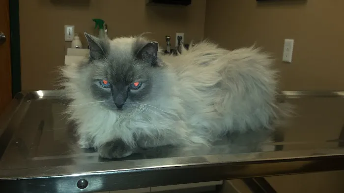 Stillwater Veterinary Clinic 3