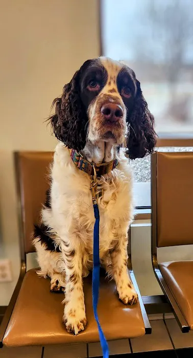 Stillwater Veterinary Clinic 6