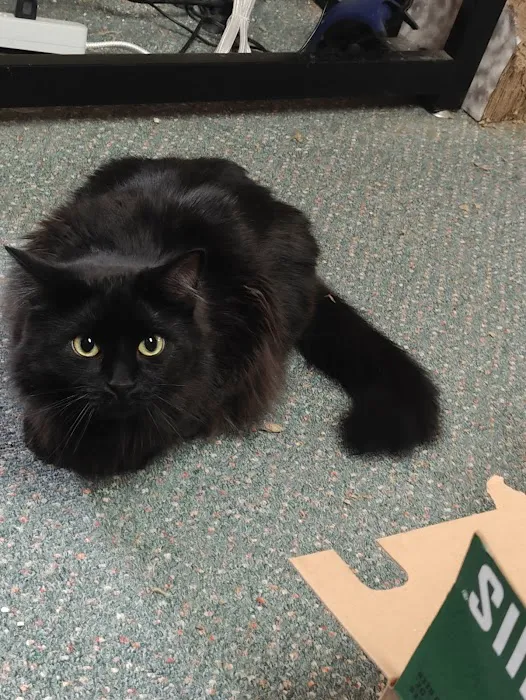 At Home Animal Clinic 9