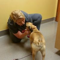 Forest Lake Veterinary Hospital: Rapp Sarah DVM ico