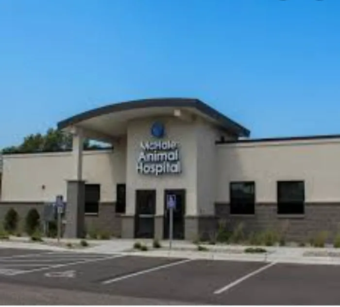 McHale Animal Hospital 4
