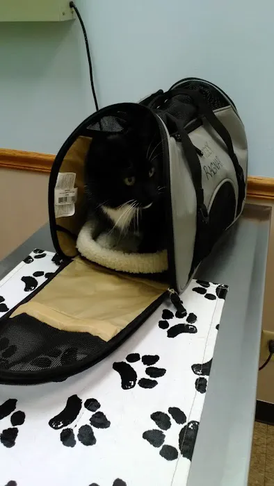 France Avenue Pet Hospital 4