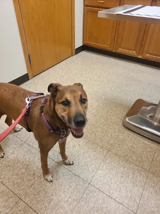 France Avenue Pet Hospital 5