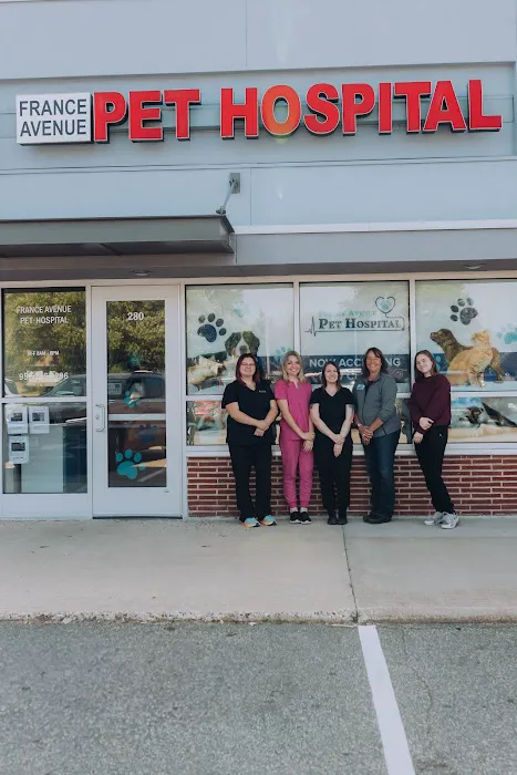 France Avenue Pet Hospital 6