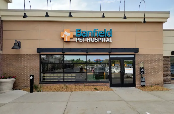 Banfield Pet Hospital 6