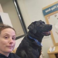 Banfield Pet Hospital ico