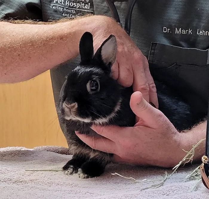South Hyland Pet Hospital 2