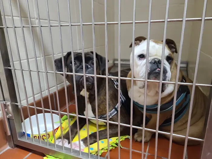South Hyland Pet Hospital 5