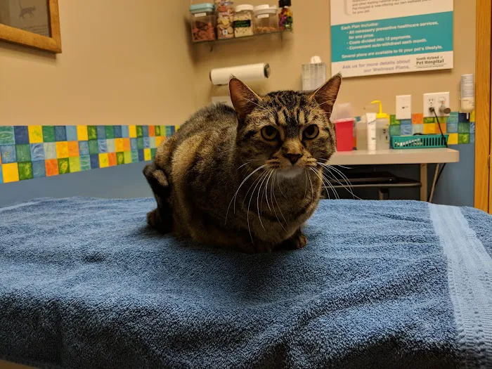 South Hyland Pet Hospital 4