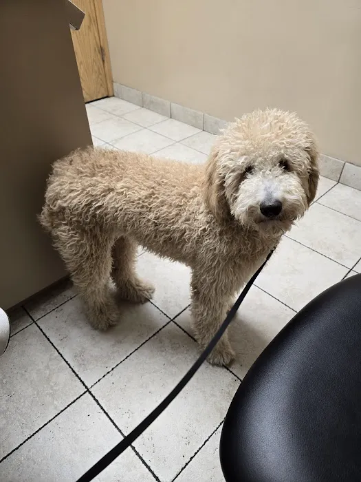 South Hyland Pet Hospital 6