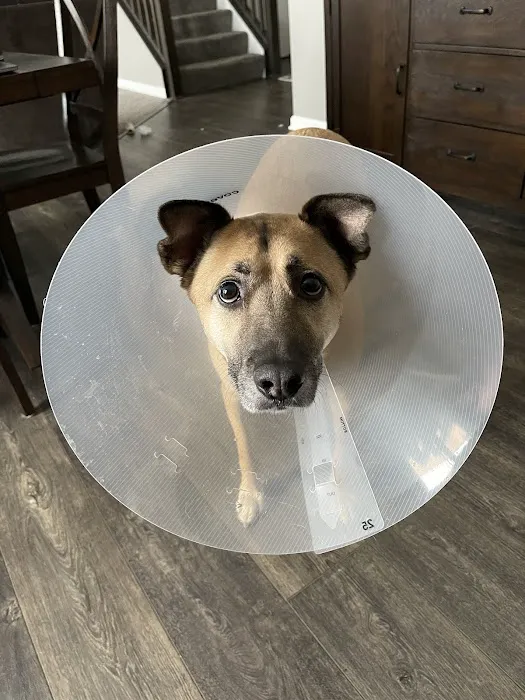 Mission Animal Hospital 4