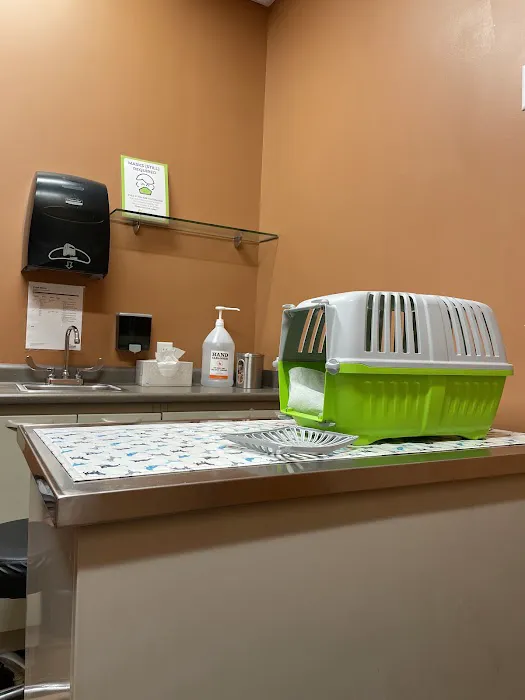 Mission Animal Hospital 3