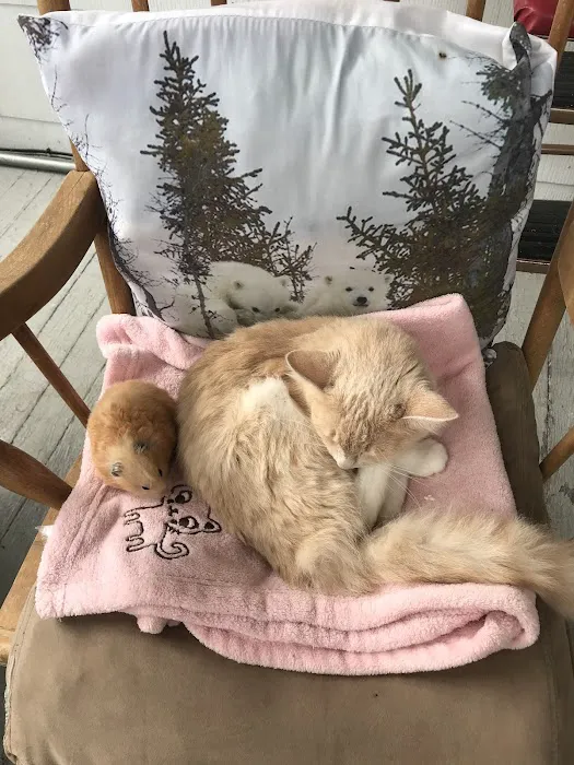 Mission Animal Hospital 5