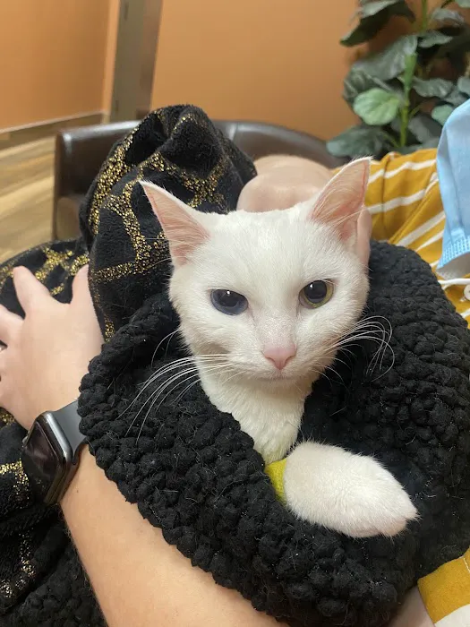 Mission Animal Hospital 1