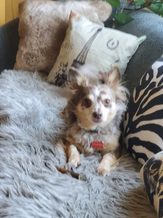 Banfield Pet Hospital 9