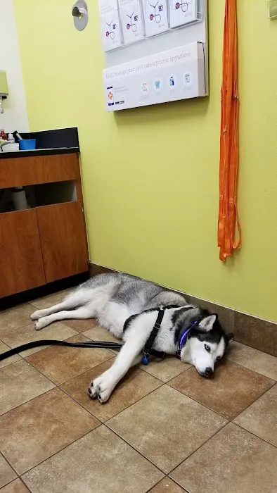 Banfield Pet Hospital 7